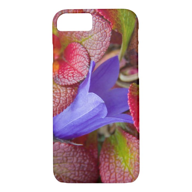 N.A., USA, Alaska.  Bluebell in the tundra in Case-Mate iPhone Case (Back)