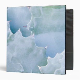 N.A., USA, Arizona, Tucson, Sonora Desert 2 3 Ring Binder