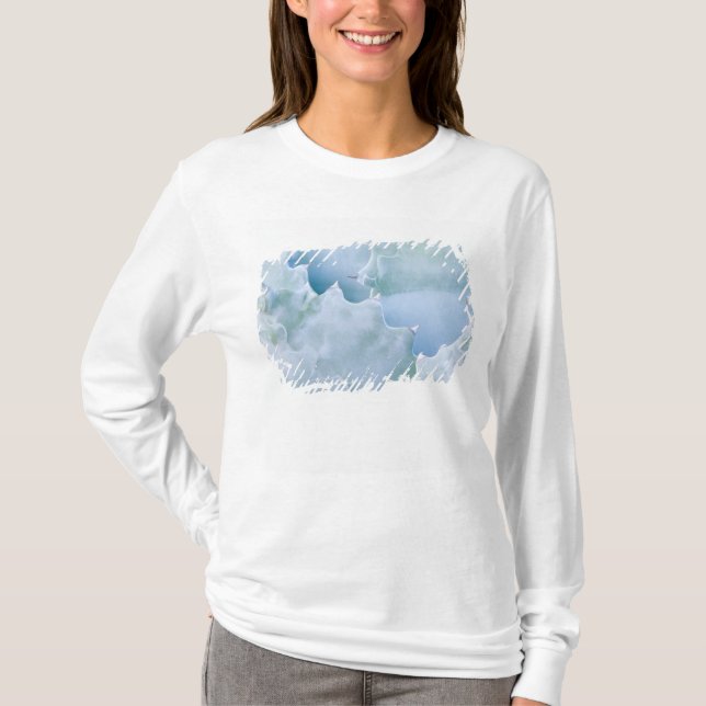 N.A., USA, Arizona, Tucson, Sonora Desert 2 T-Shirt (Front)