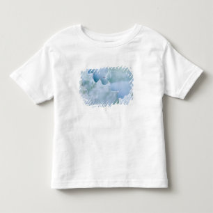 N.A., USA, Arizona, Tucson, Sonora Desert 2 Toddler T-shirt