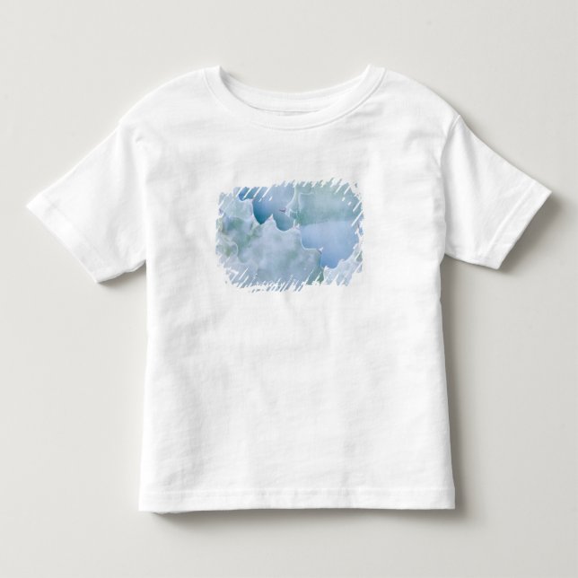 N.A., USA, Arizona, Tucson, Sonora Desert 2 Toddler T-shirt (Front)