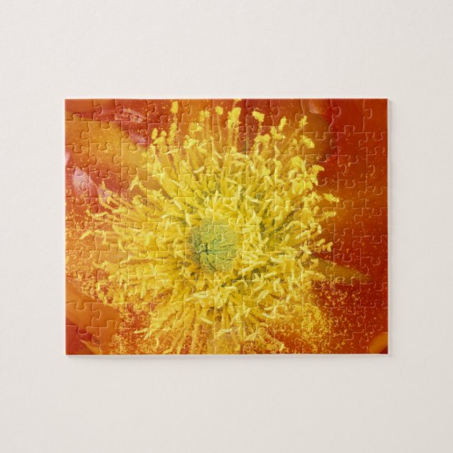 N.A., USA, Arizona, Tucson, Sonora Desert 3 Jigsaw Puzzle (Horizontal)