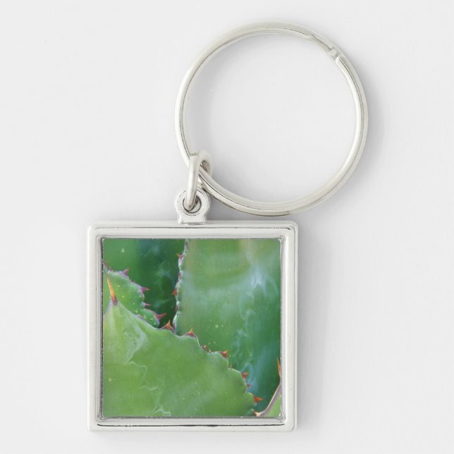 N.A., USA, Arizona, Tucson, Sonora Desert Keychain (Front)