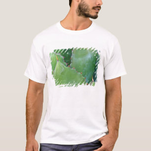 N.A., USA, Arizona, Tucson, Sonora Desert T-Shirt