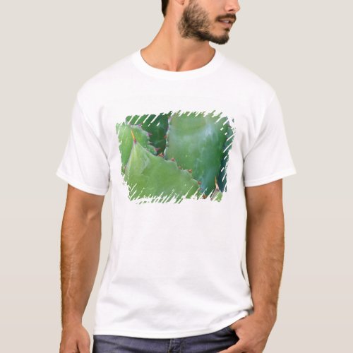 NA USA Arizona Tucson Sonora Desert T_Shirt