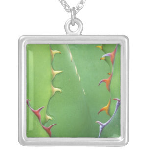 N.A., USA, AZ, Phoenix, Desert Botanical 2 Silver Plated Necklace
