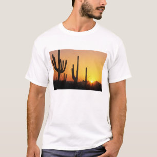 N.A., USA, AZ, Saguaro NP, Saguaro Sunset T-Shirt