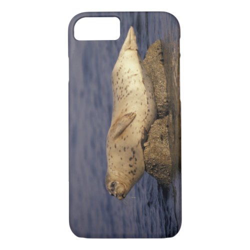 NA USA California Monterey  Harbor Seal iPhone 87 Case