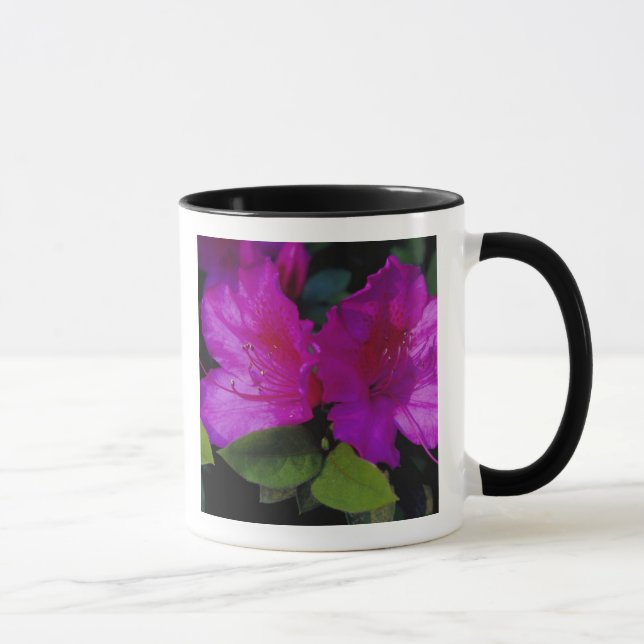 N.A. USA, Georgia, Savannah. Azalea in bloom. Mug (Right)