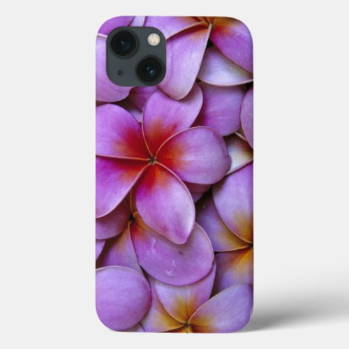 NA USA Maui Hawaii Pink Plumeria blossoms iPhone 13 Case