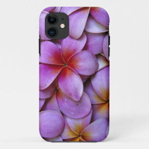 N.A., USA, Maui, Hawaii. Pink Plumeria blossoms. iPhone 11 Case