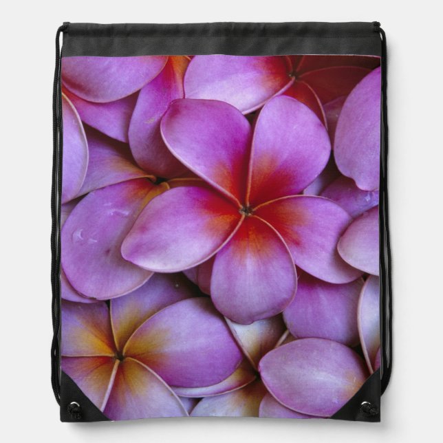N.A., USA, Maui, Hawaii. Pink Plumeria blossoms. Drawstring Bag (Front)