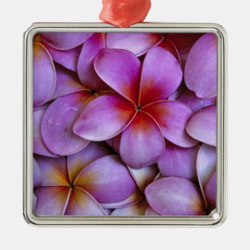 NA USA Maui Hawaii Pink Plumeria blossoms Metal Ornament