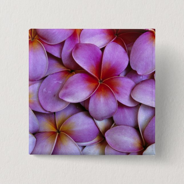 N.A., USA, Maui, Hawaii. Pink Plumeria blossoms. Pinback Button (Front)