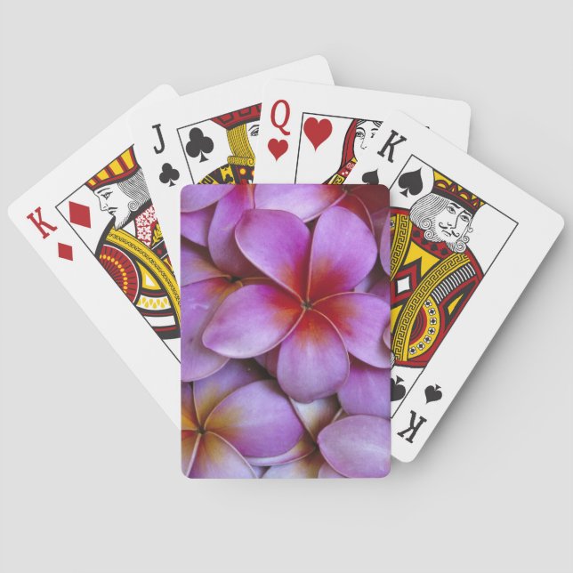 N.A., USA, Maui, Hawaii. Pink Plumeria blossoms. Poker Cards (Back)