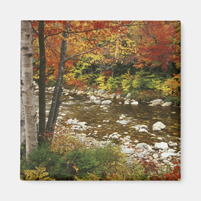 N.A., USA, New Hampshire, White Mountains, Magnet (Front)