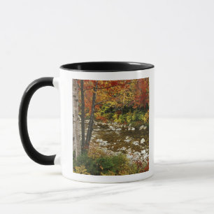 N.A., USA, New Hampshire, White Mountains, Mug