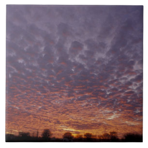 N.A., USA, New Mexico, near Las Cruces, Ceramic Tile