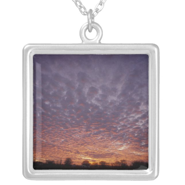 N.A., USA, New Mexico, near Las Cruces, Silver Plated Necklace (Front)