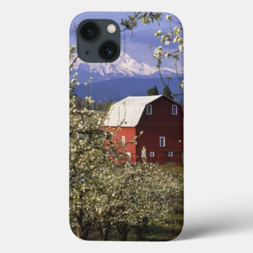 NA USA Oregon Hood River County Red iPhone 13 Case