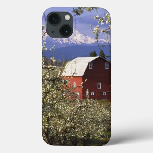 NA USA Oregon Hood River County Red iPhone 13 Case