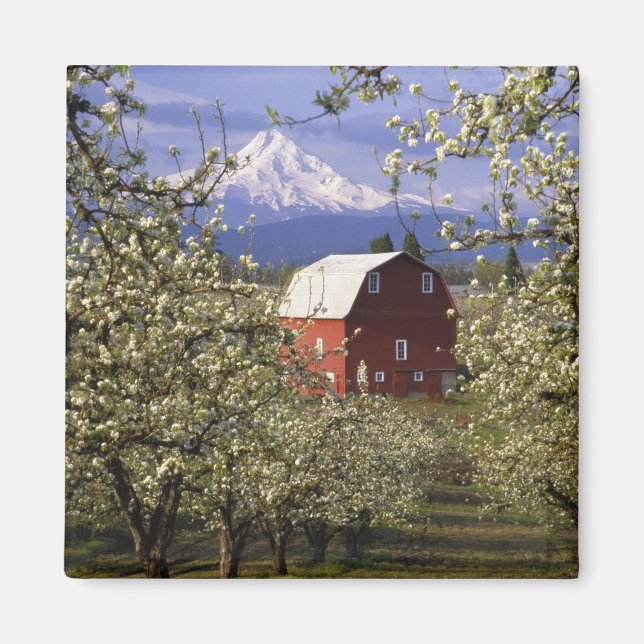 N.A., USA, Oregon, Hood River County. Red Magnet (Front)