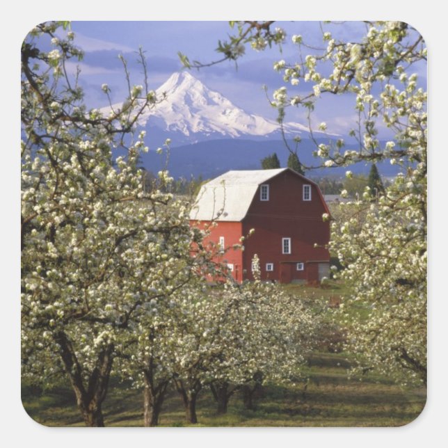N.A., USA, Oregon, Hood River County. Red Square Sticker (Front)