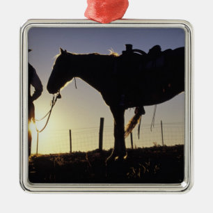 N.A., USA, Oregon, Seneca, Ponderosa Ranch, Metal Ornament