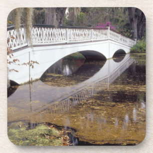 N.A., USA, South Carolina, Charleston.  Magnolia Coaster