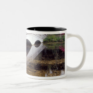 N.A., USA, South Carolina, Charleston. Magnolia Two-Tone Coffee Mug
