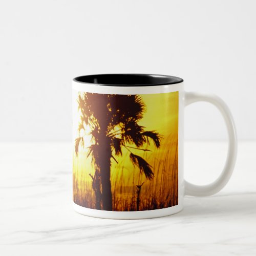 NA USA South Carolina Charleston Sunset Two_Tone Coffee Mug