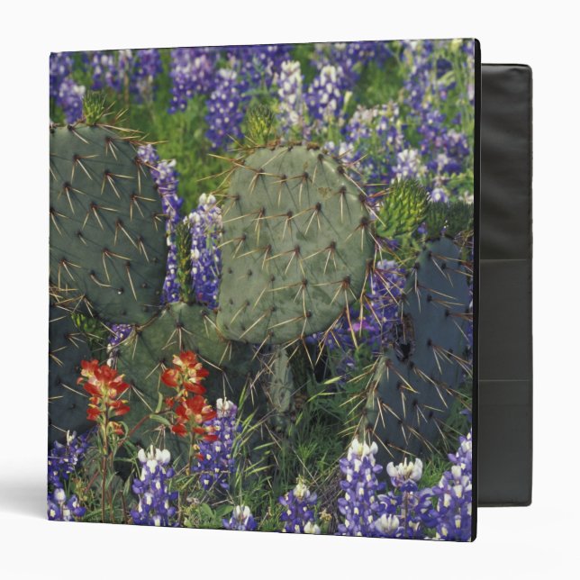 N.A., USA, Texas, Cactus surrounded by 3 Ring Binder (Front/Inside)