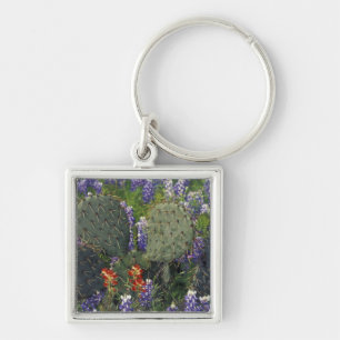N.A., USA, Texas, Cactus surrounded by Keychain
