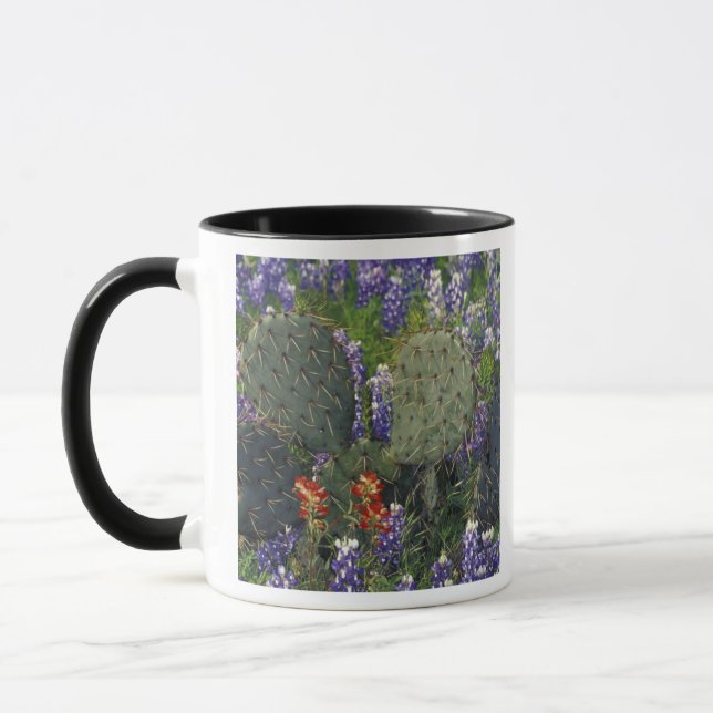 N.A., USA, Texas, Cactus surrounded by Mug (Left)