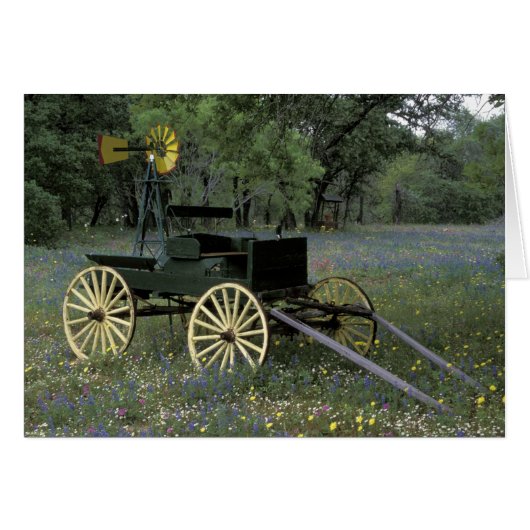 N.A., USA, Texas, Devine, Old wagon and Cards (Front Horizontal)