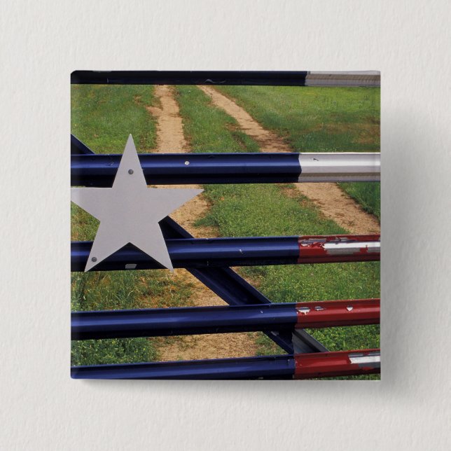 N.A., USA, Texas, Lake Buchanan, Texas flag Button (Front)
