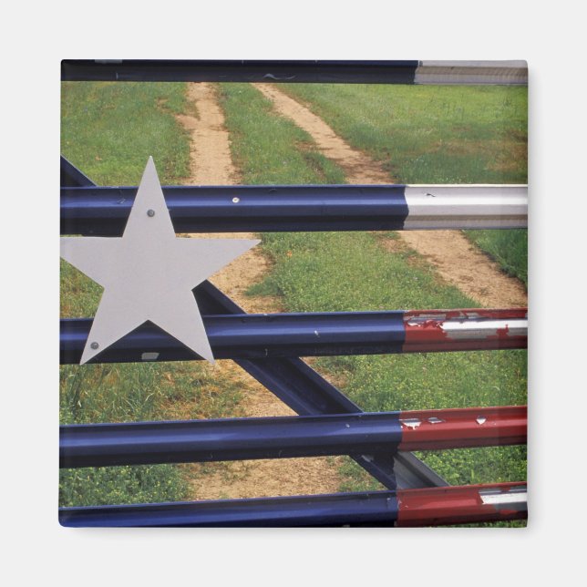 N.A., USA, Texas, Lake Buchanan, Texas flag Magnet (Front)