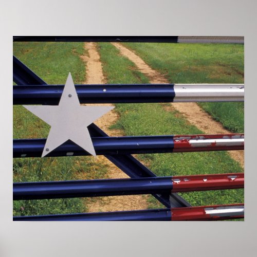 NA USA Texas Lake Buchanan Texas flag Poster