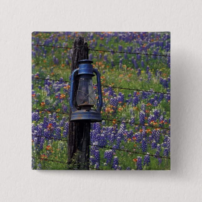 N.A., USA, Texas, Llano, Blue Lantern and Pinback Button (Front)