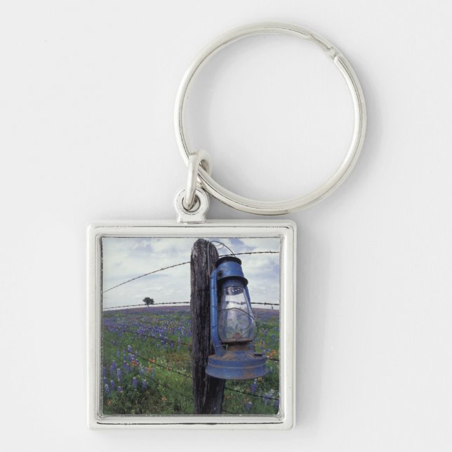 N.A., USA, Texas, Llano, Blue Lantern, Oak tree Keychain (Front)