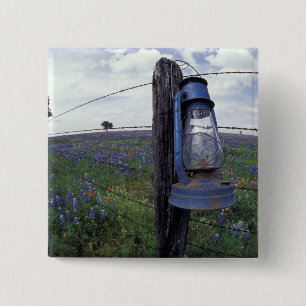 N.A., USA, Texas, Llano, Blue Lantern, Oak tree Pinback Button