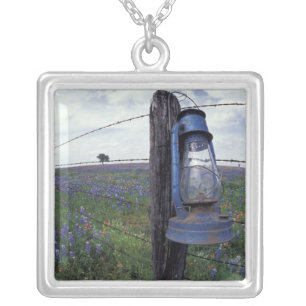 N.A., USA, Texas, Llano, Blue Lantern, Oak tree Silver Plated Necklace