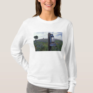 N.A., USA, Texas, Llano, Blue Lantern, Oak tree T-Shirt