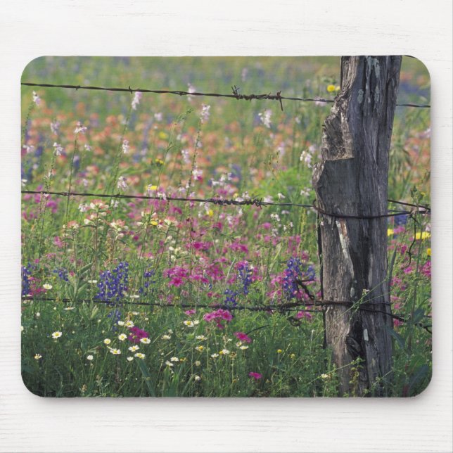 N.A, USA, Texas, Lytle, Fence post and Mouse Pad (Front)