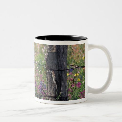 NA USA Texas Lytle Fence post and Two_Tone Coffee Mug