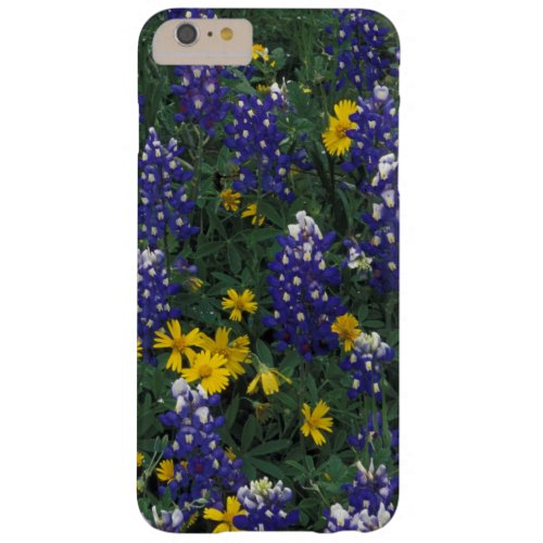 NA USA Texas Marble Falls Blue Bonnets Barely There iPhone 6 Plus Case