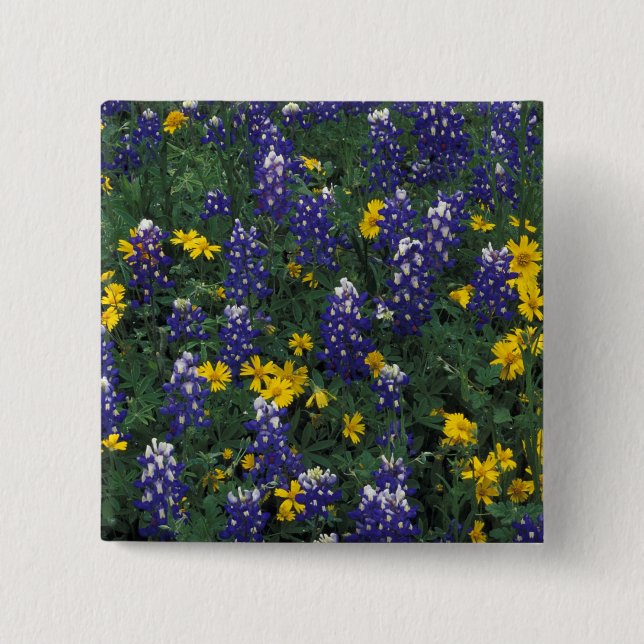 N.A, USA, Texas, Marble Falls, Blue Bonnets Pinback Button (Front)