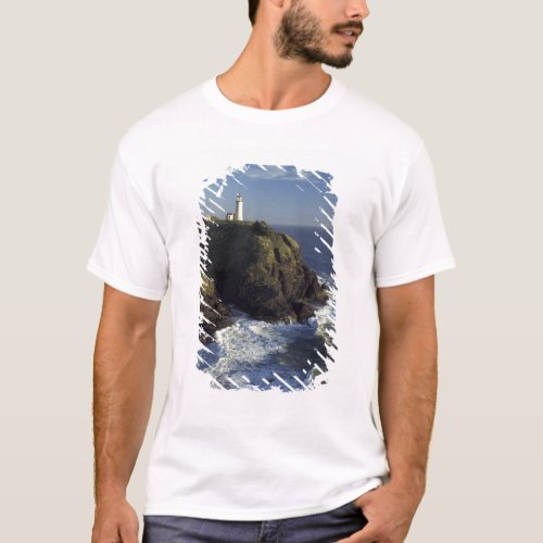 NA USA Washington Cape Disappointment State T_Shirt