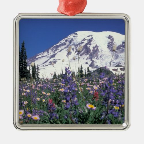 NA USA Washington Mt Rainier and Metal Ornament