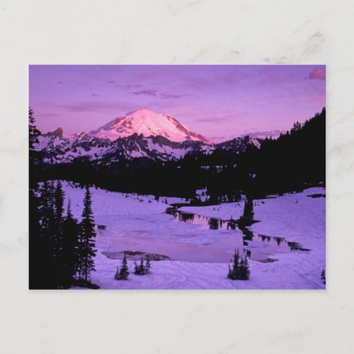 NA USA Washington Mt Rainier National 3 Postcard